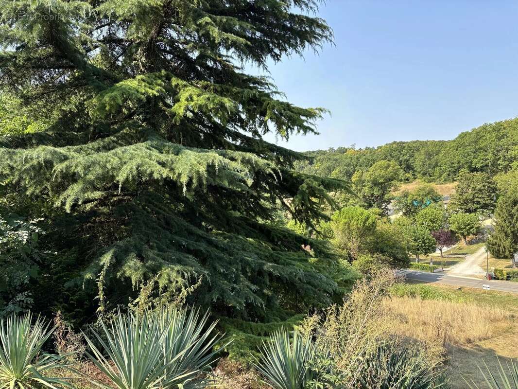 Au coeur du village - photo 6