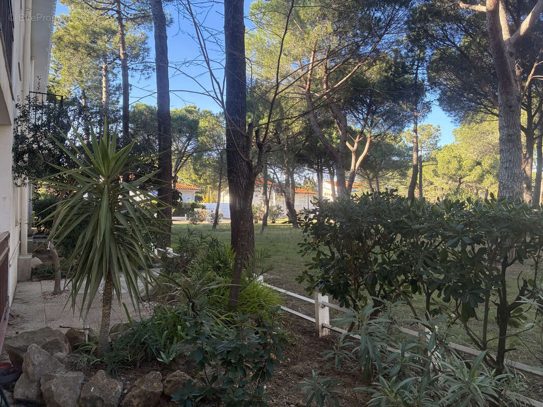 Appartement à ARGELES-SUR-MER