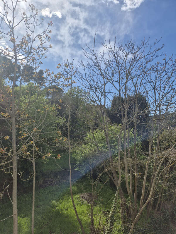 Appartement à LA TRINITE