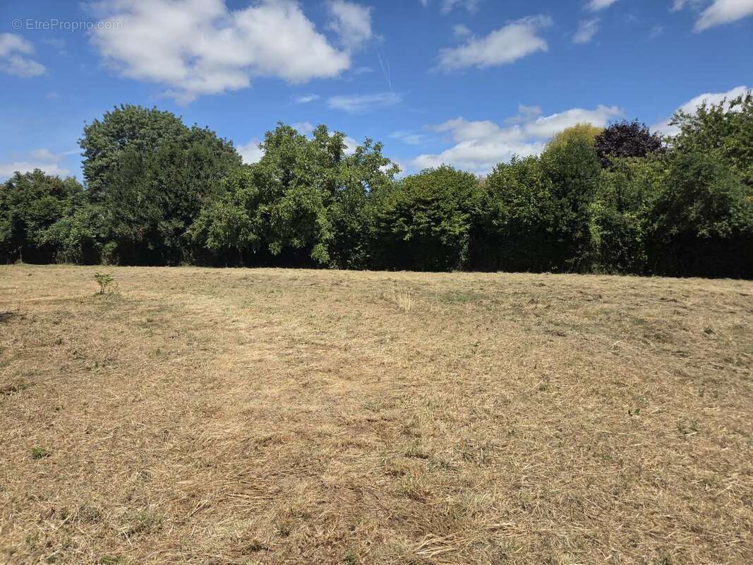 Terrain à CHEMAZE