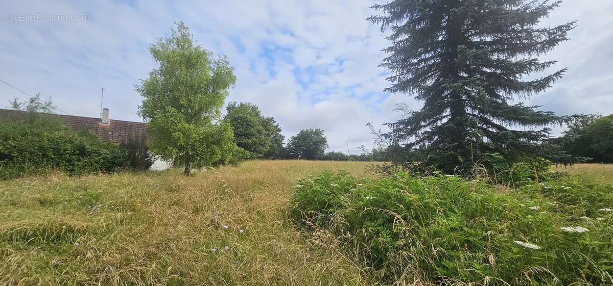 Maison à LA GUERCHE-SUR-L&#039;AUBOIS