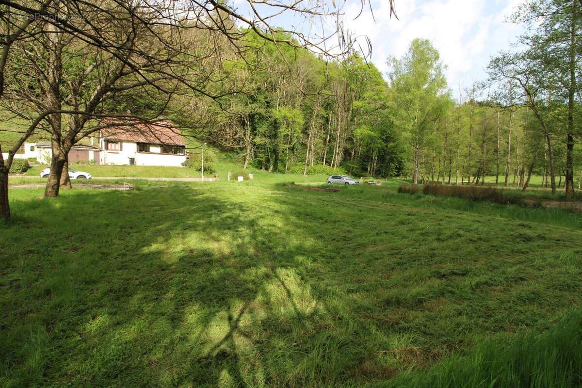 Photo 4 - Terrain à FROHMUHL