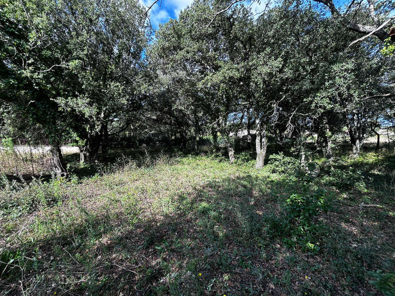 Terrain à GRIGNAN