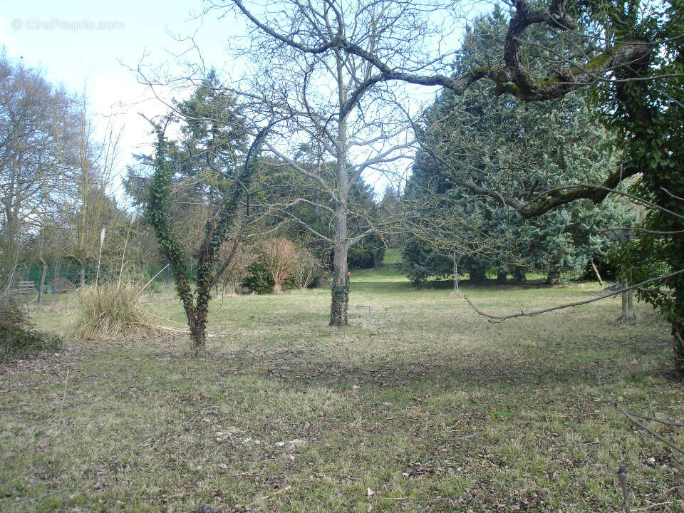 Terrain à LA CHAPELLE-GAUTHIER