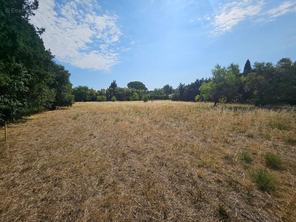 Terrain à FONTVIEILLE