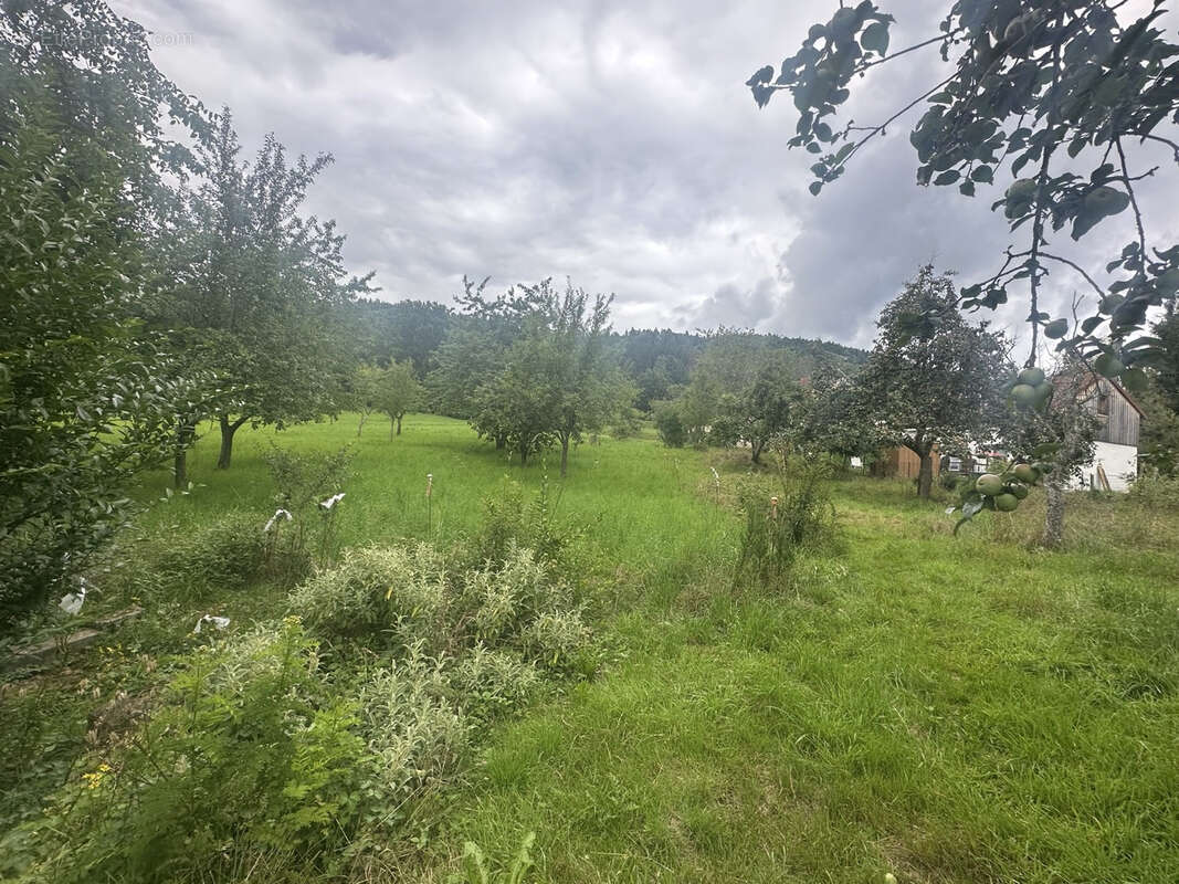 Maison à BAN-DE-LAVELINE