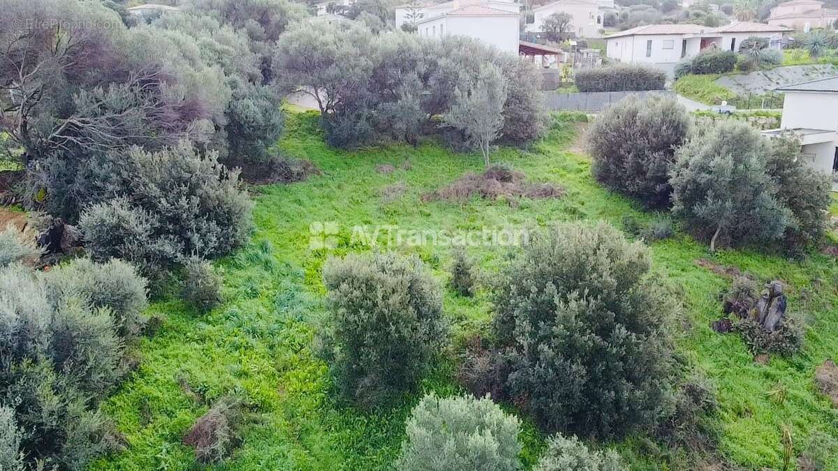 Terrain à BASTELICACCIA