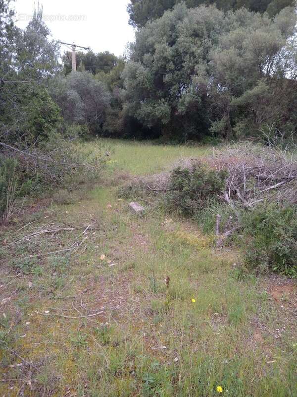 Terrain à LA CADIERE-D&#039;AZUR