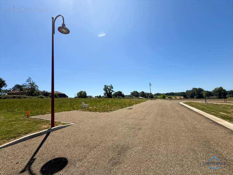 Dpt Gers (32), à vendre BERNEDE terrain constructible de 1335 m² viabilisé et borné, au calme - photo 4