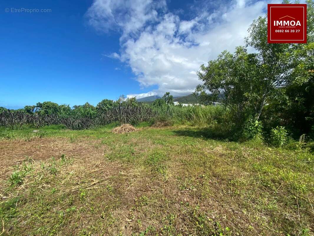 Terrain à LE TAMPON