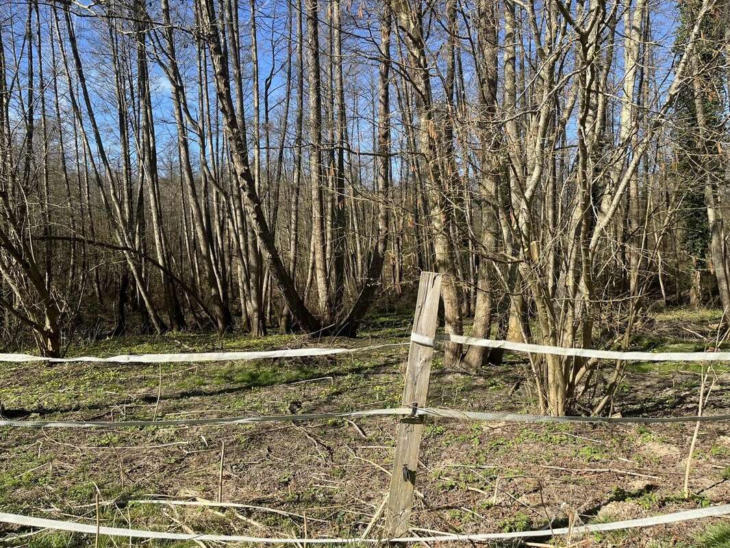 Terrain à RAIZEUX