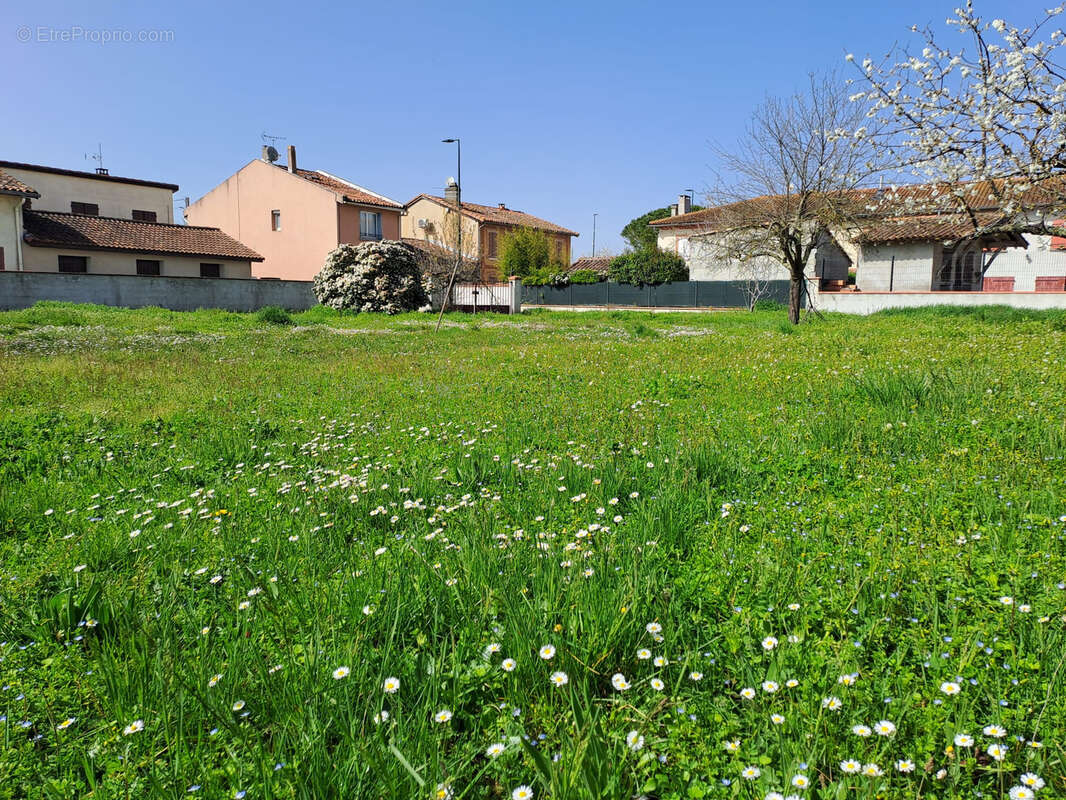 Terrain à SAINT-CLAR-DE-RIVIERE