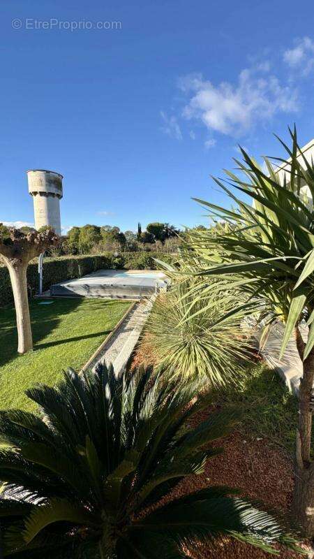 Maison à LANSARGUES