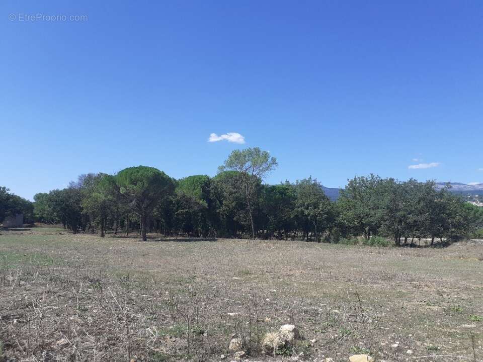 Terrain à MONTAUROUX