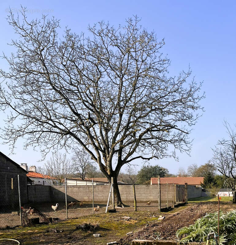 Terrain à GROSBREUIL