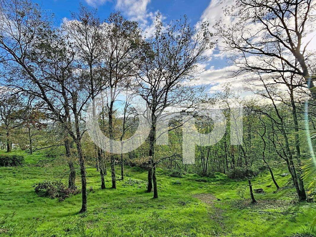 Terrain à MALEMORT-SUR-CORREZE