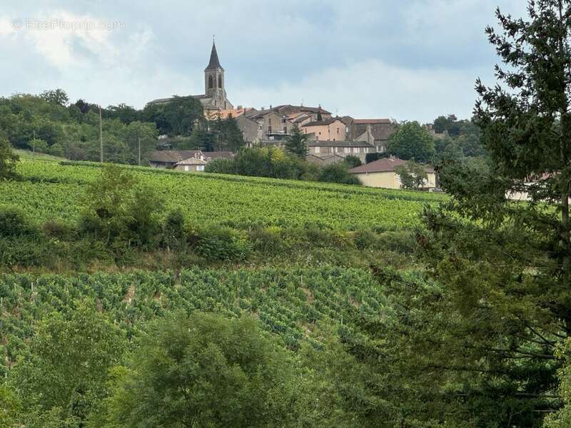 Maison à LA ROCHE-VINEUSE