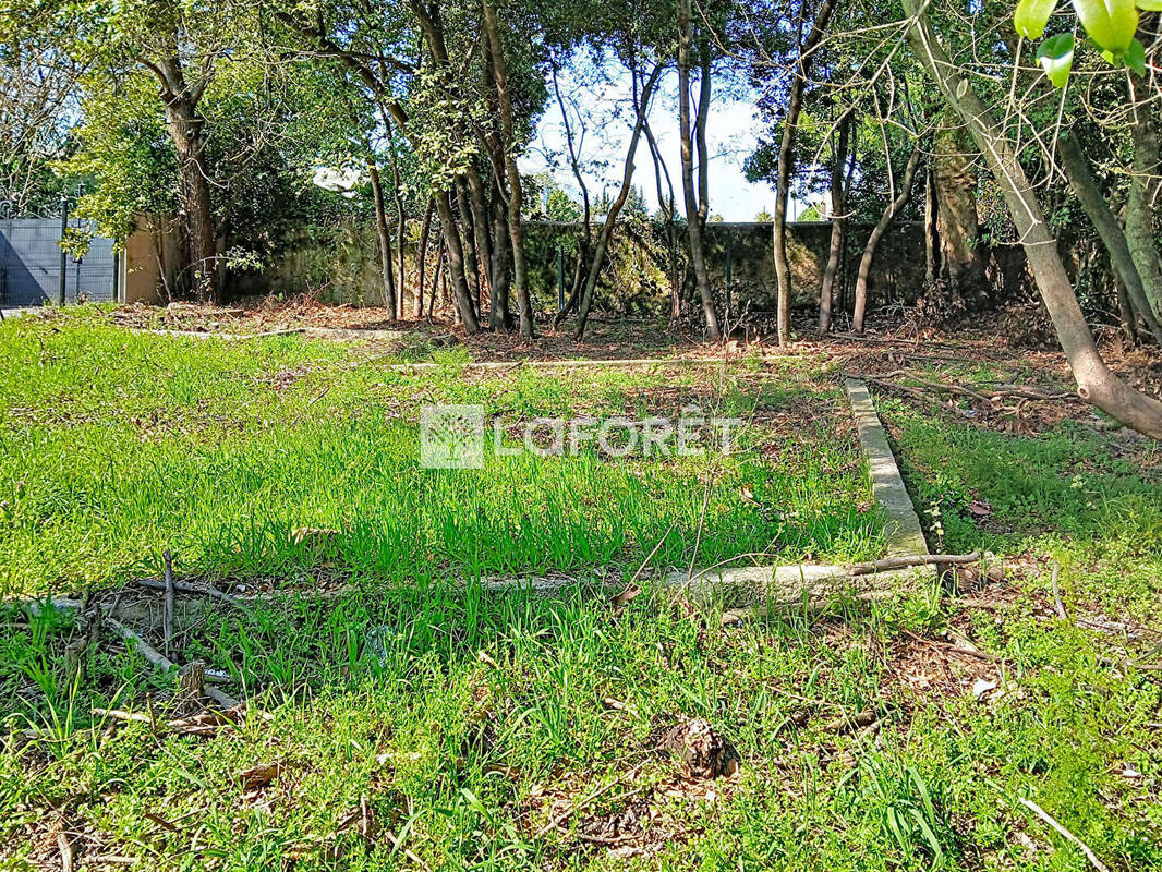 Terrain à LATTES