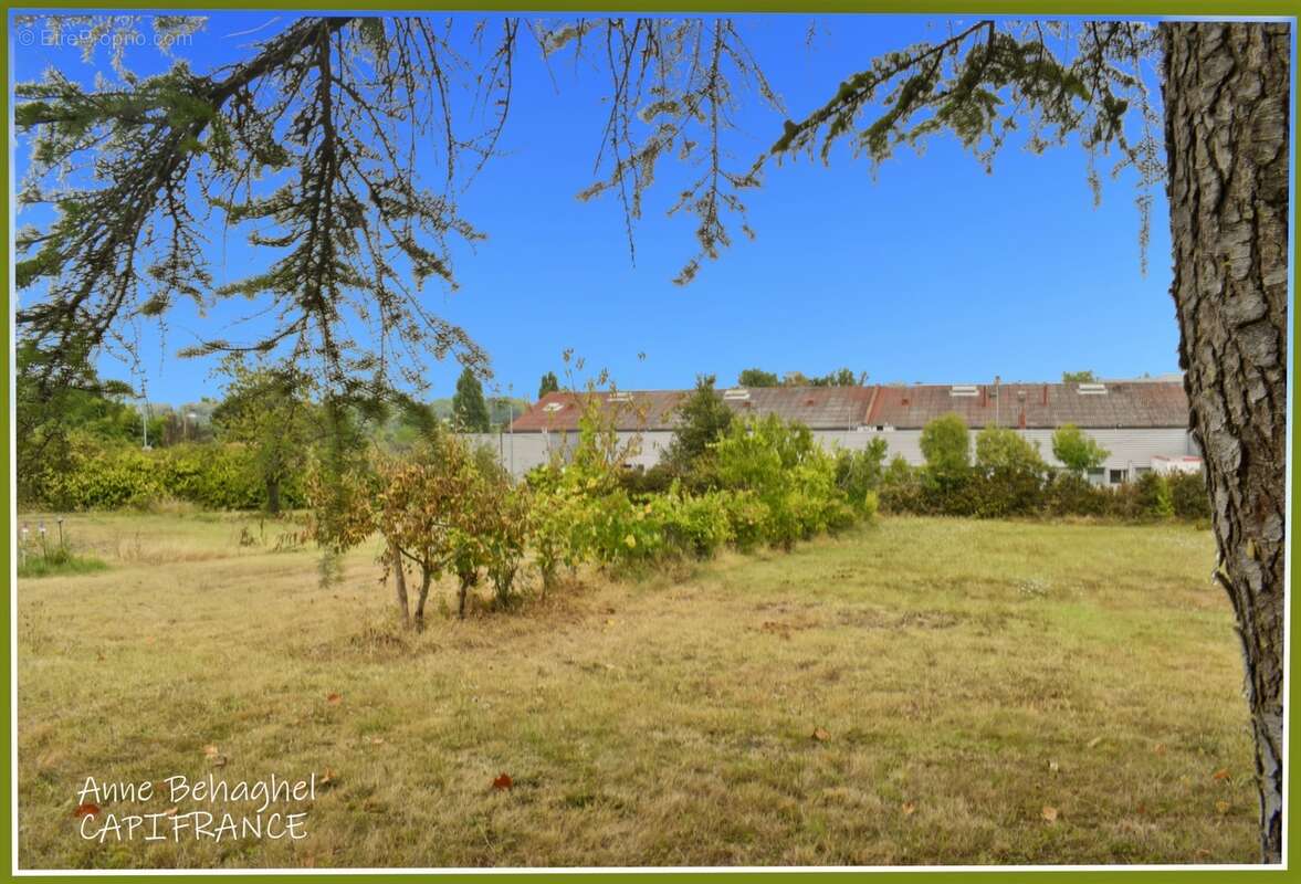 A vendre Condom - Maison individuelle 133m2 avec sous-sol - Terrain 5000m2 - photo 12