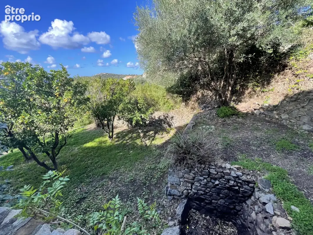 Villa vue mer avec piscine - photo 5