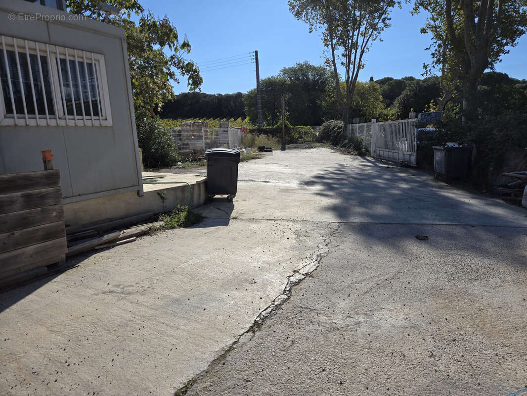 Commerce à VENDARGUES