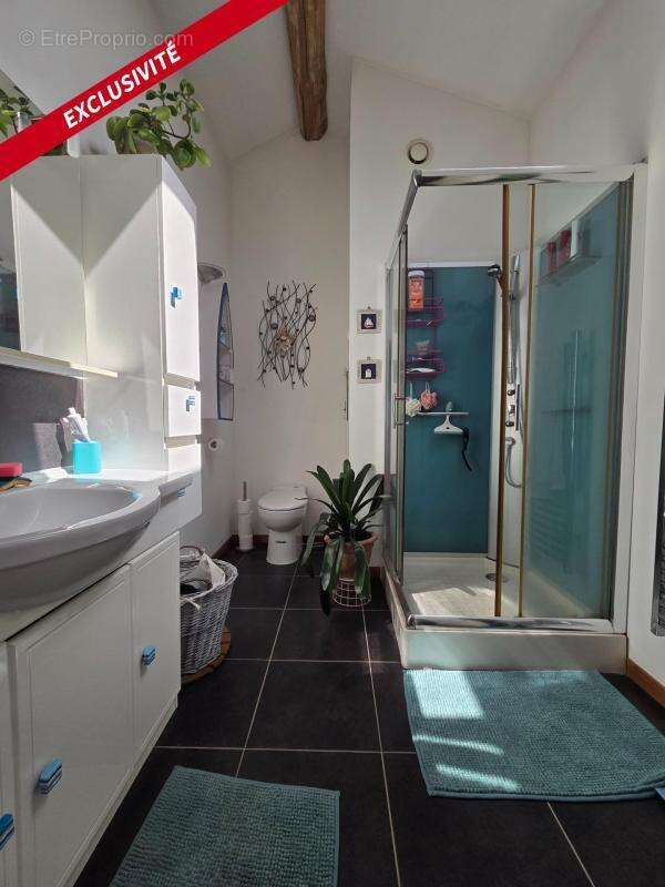 Maison 173 m² avec studio indépendant, piscine et 2 garages - Essouvert 17400 - photo 9