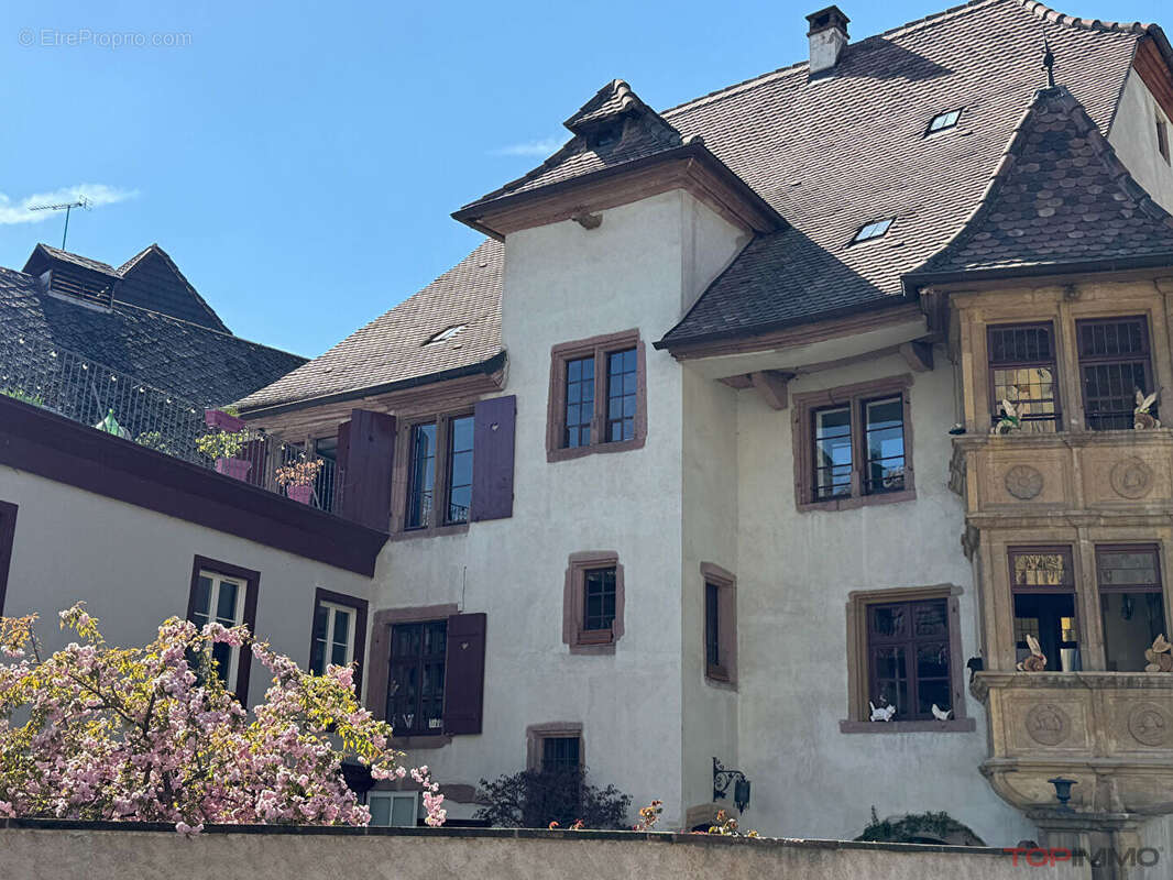 Maison à RIBEAUVILLE