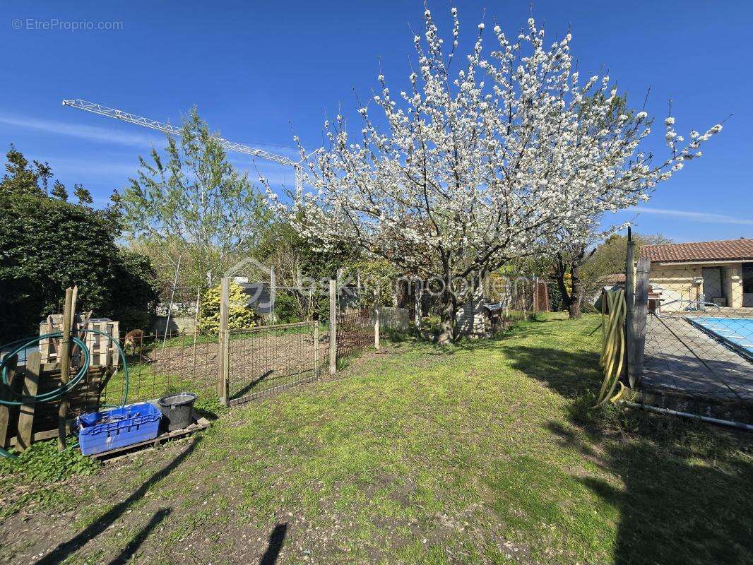 Maison familiale avec piscine, jardin arboré et grand garage – 5 min Montélimar - photo 13