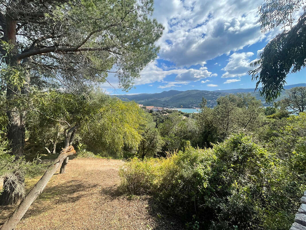 Autre à PIETROSELLA