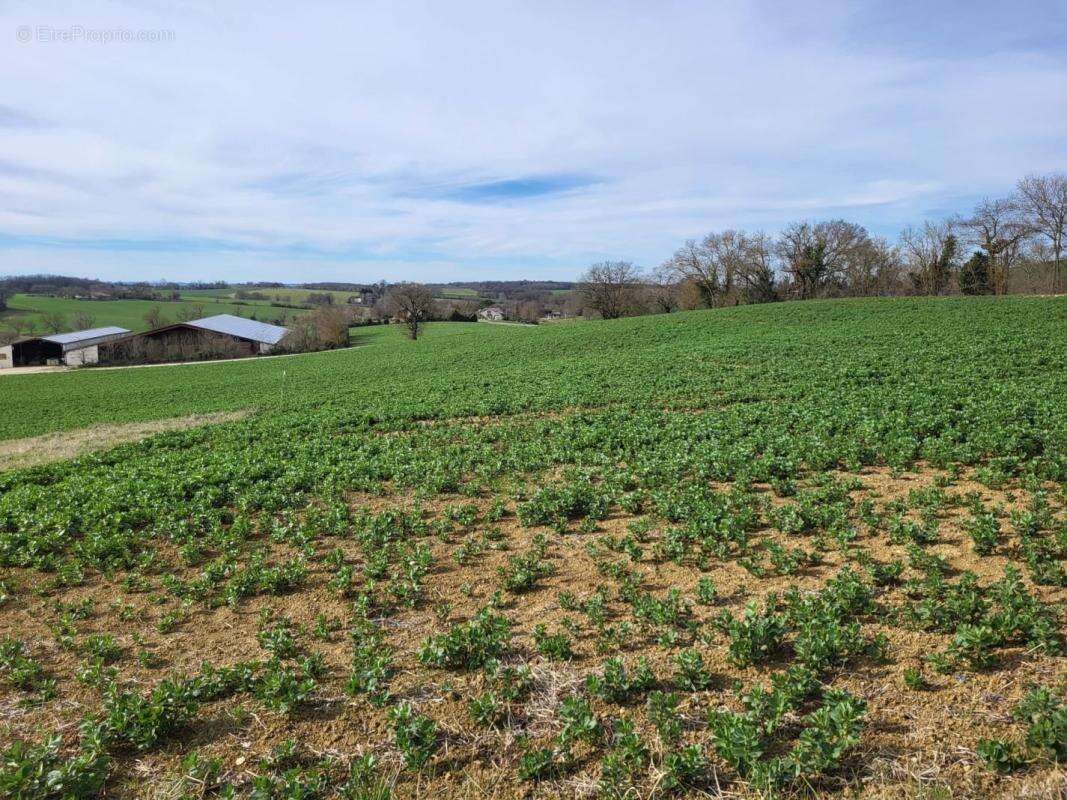 Terrain à PUYCASQUIER