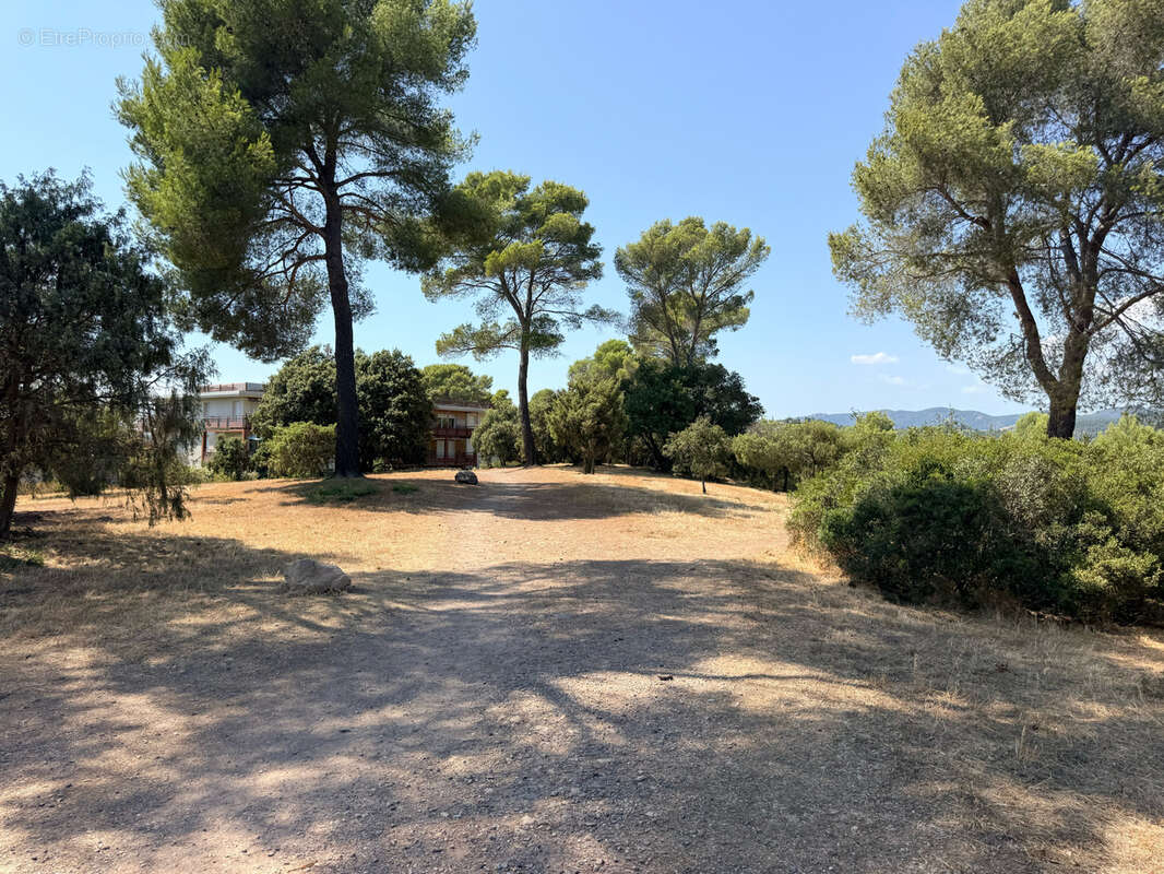 Frejus, un ecrin de verdure en dernier etage - photo 10