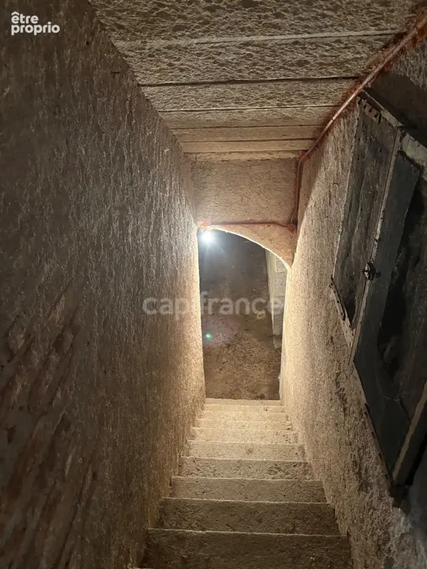 A  saint forgeux lespinasse (42) maison de caractere de 200 m2 avec dependances et terrain clos de 8400m2 - photo 15