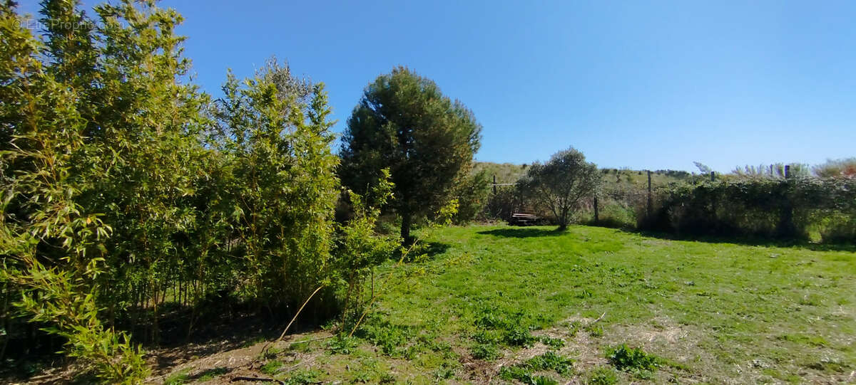Terrain à SERIGNAN