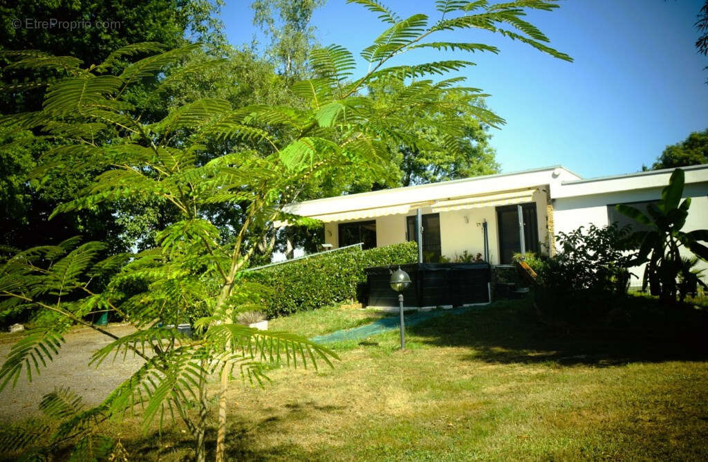 Maison à NEUVILLE-SUR-AIN