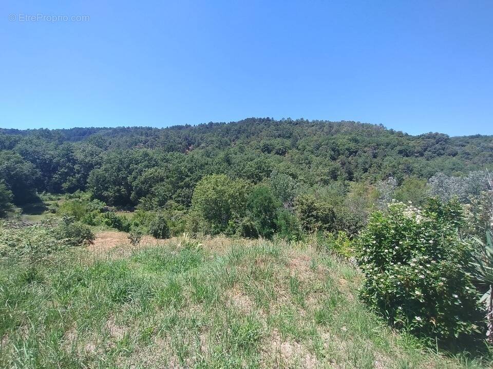 Terrain à SALAVAS