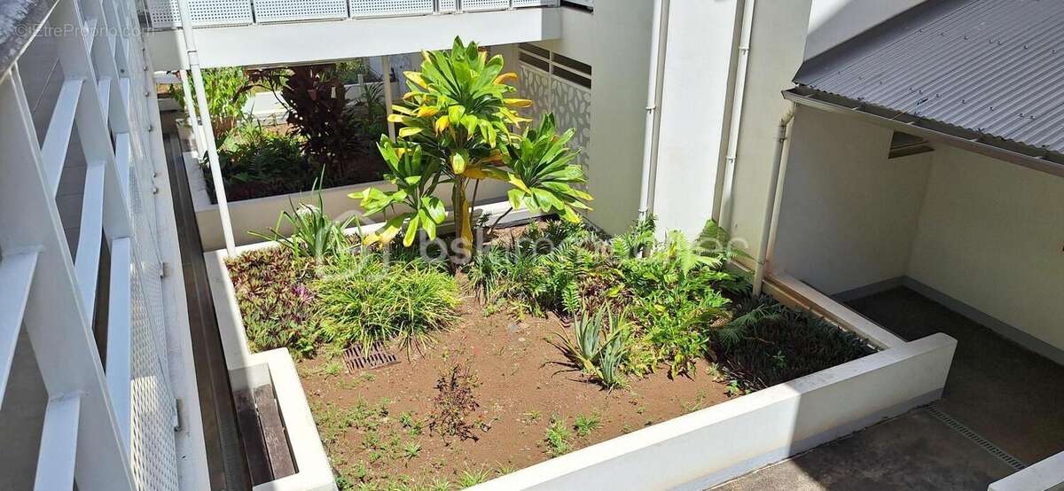 Appartement à SAINTE-MARIE