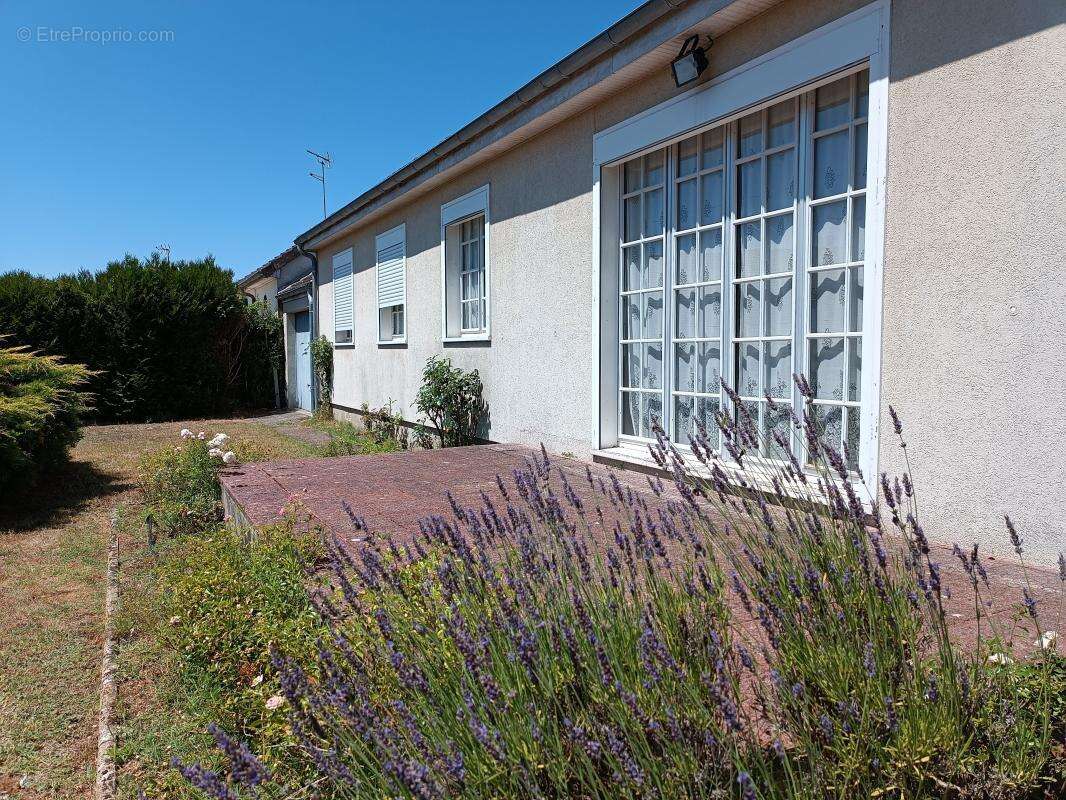 Maison à MENESTREAU-EN-VILLETTE