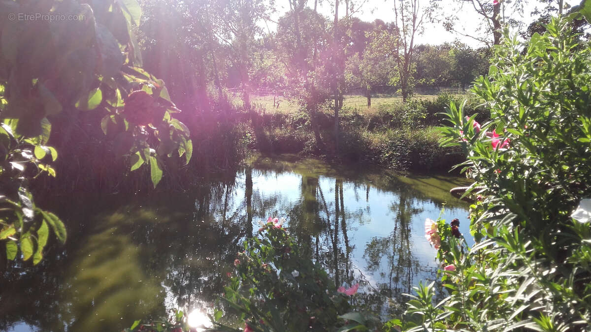 Maison à BOURG-ACHARD