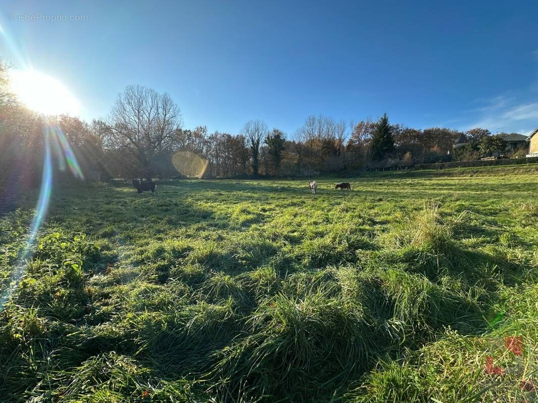 Terrain à CAZALS