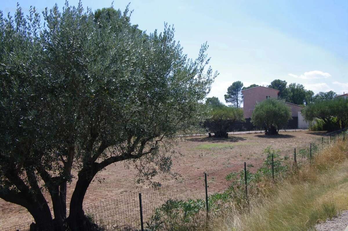 Terrain à LORGUES