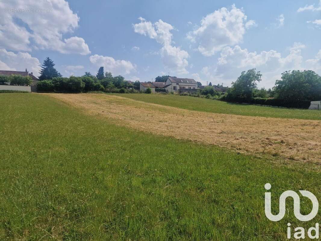 Photo 4 - Terrain à VILLENAVOTTE