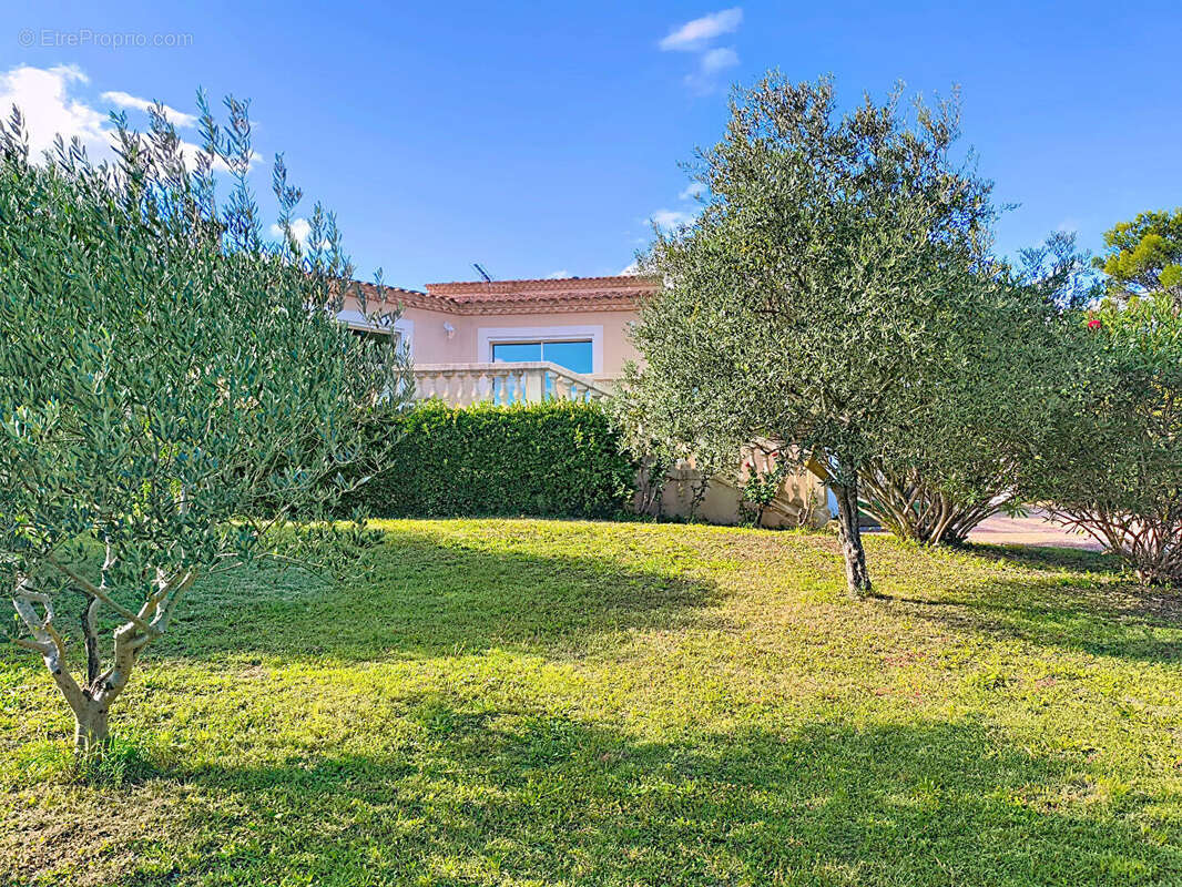 Maison à VILLENEUVE-LES-AVIGNON