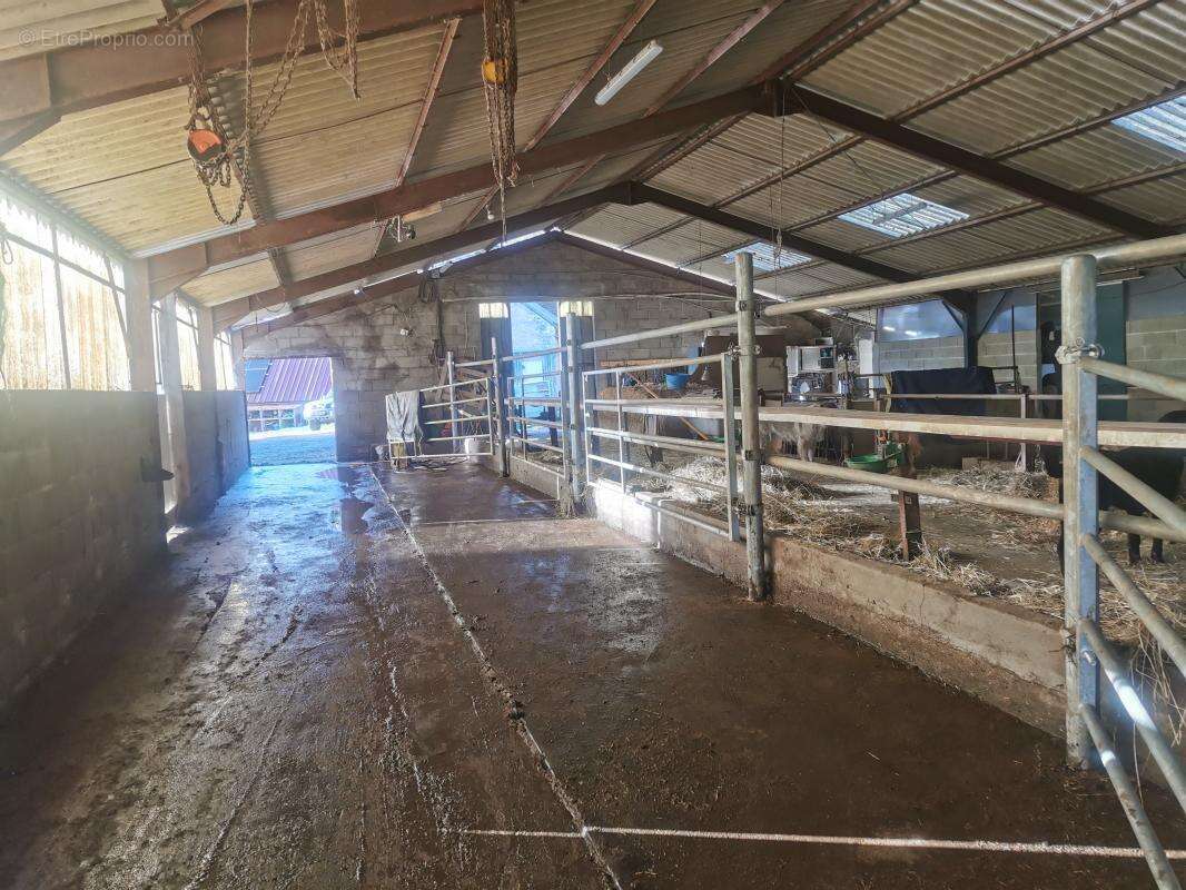 Maison à FAVERDINES