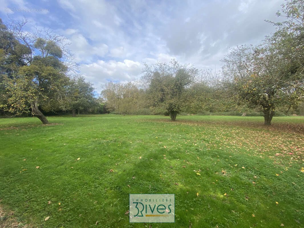 Maison à LE LION-D'ANGERS