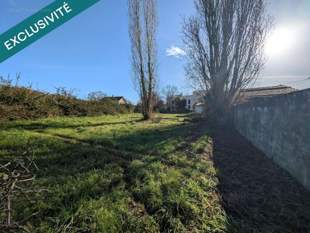 Photo 4 - Appartement à LATRESNE