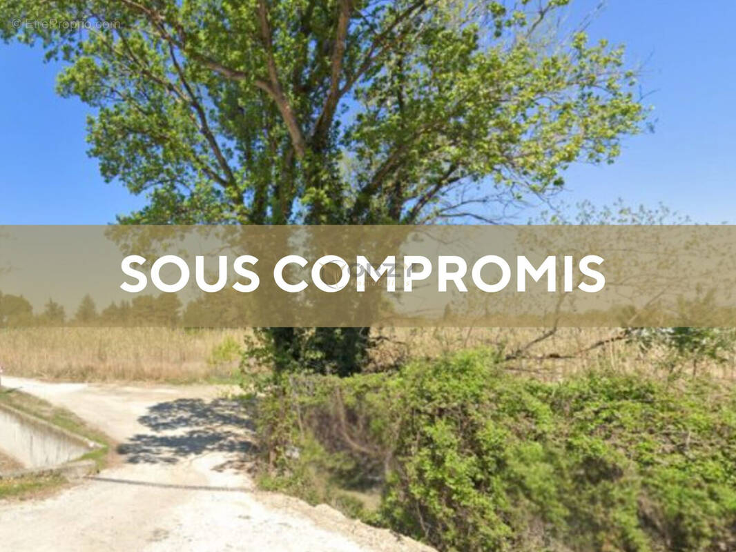 Terrain à MORIERES-LES-AVIGNON