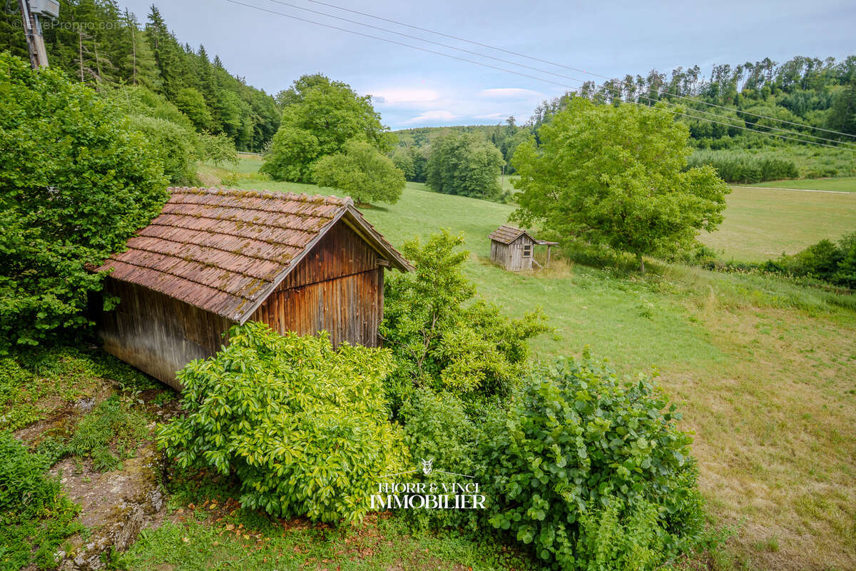 Duplex 6 pièces - 157m2 - Terrain 10 ares - Bendorf - photo 9