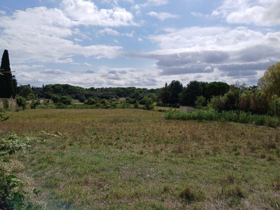 Terrain à AUBAIS