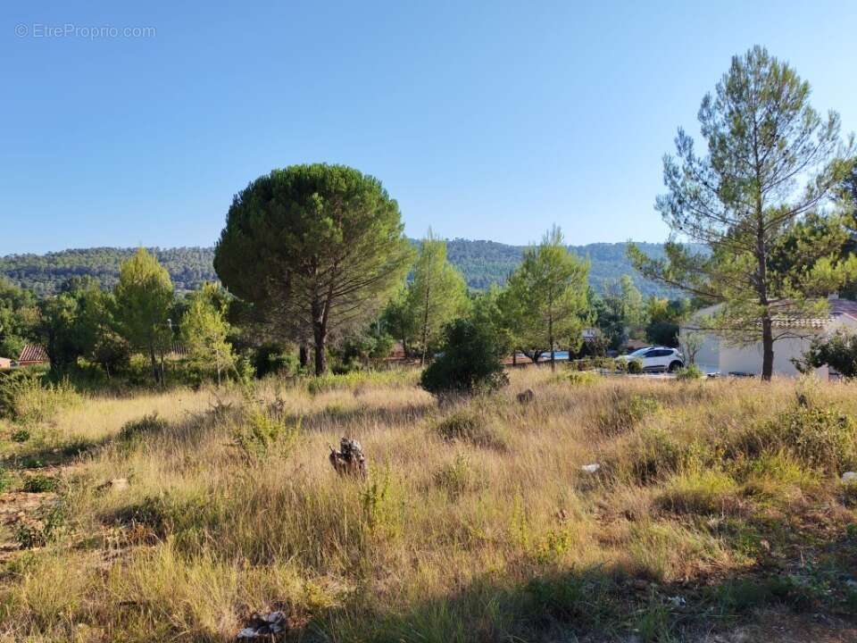 Terrain 900 m² à Camps-La-Source  - photo 3
