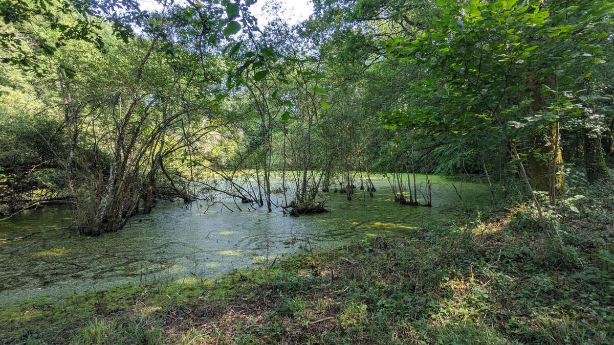 Terrain à USSON-DU-POITOU